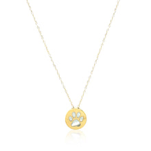 Load image into Gallery viewer, 14k Yellow Gold Necklace with Dog Paw Print Symbol in Mother of Pearl
